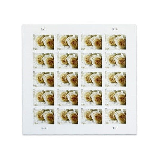 2011 π₯5 Booklets/100 Pcs
