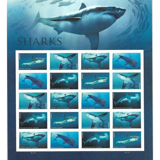 2017 π₯5 Booklets/100 Pcs