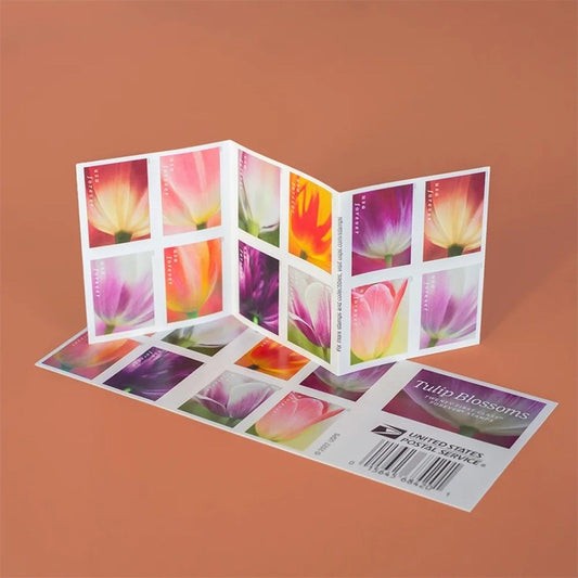 2023 π₯5 Booklets/100 Pcs