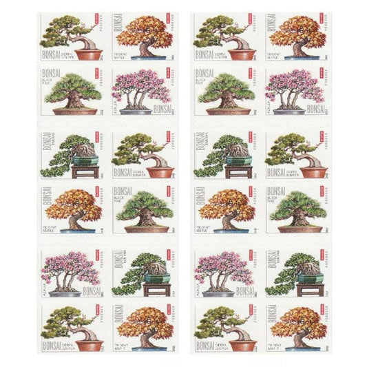 2012 π₯5 Booklets/100 Pcs