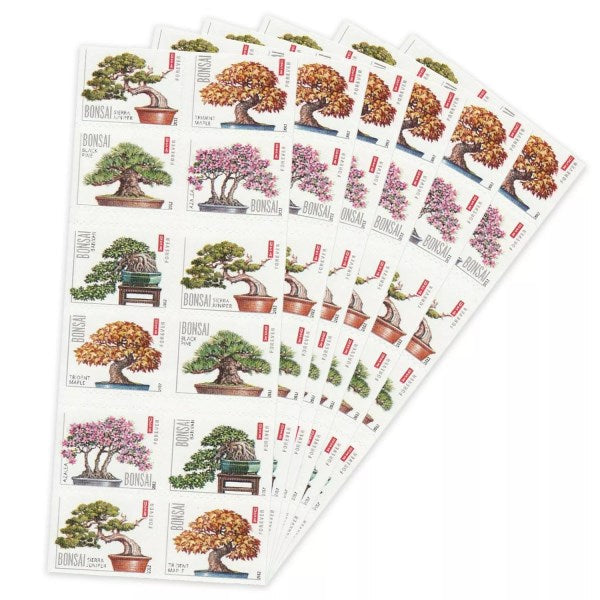 2012 π₯5 Booklets/100 Pcs