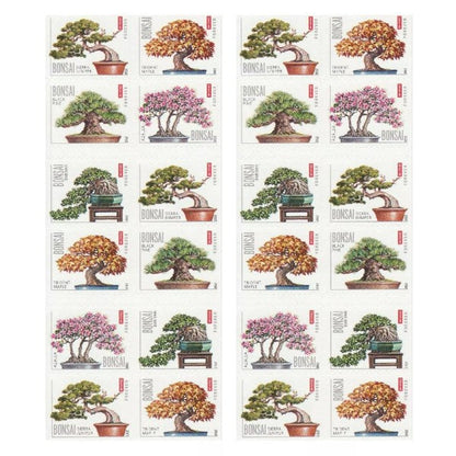2012 🔥5 Booklets/100 Pcs